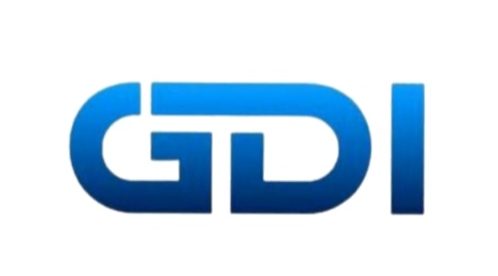 PT GDI