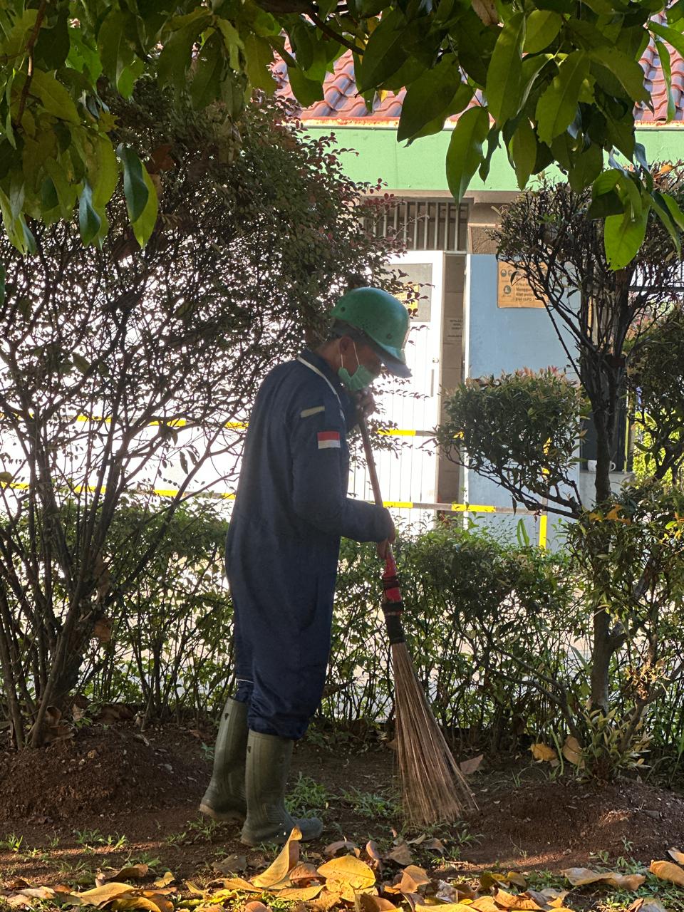 Outsourcing - Gardening